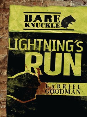 cover image of Lightning's Run